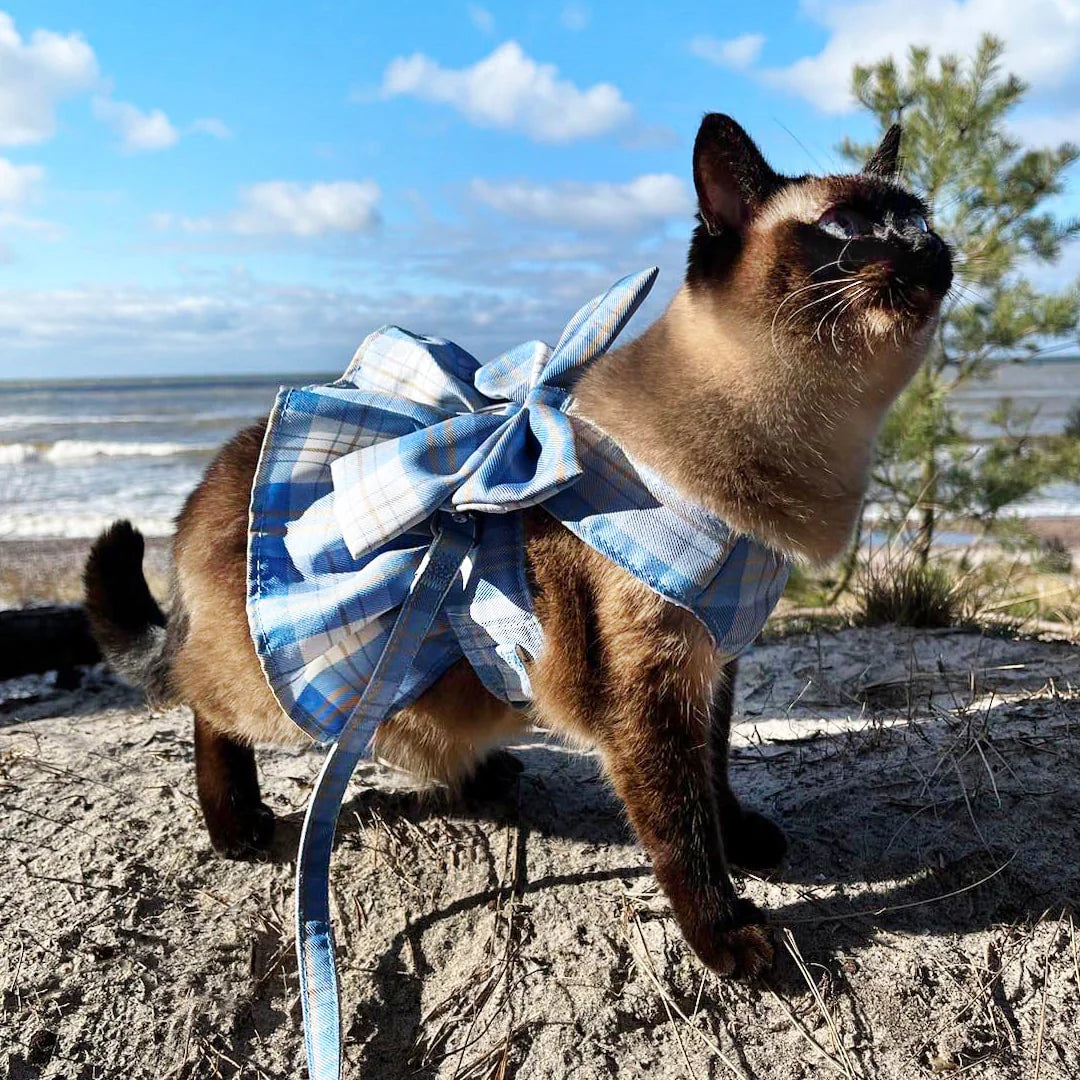 Soft Cat Harness & Leash Set – Adjustable Vest Harness for Cats