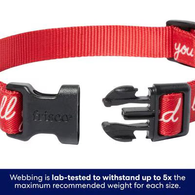 Valentine “All You Need Is Love” Dog Collar – Medium, Adjustable 14–20 Inch Neck