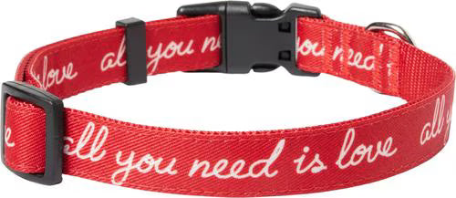 Valentine “All You Need Is Love” Dog Collar – Medium, Adjustable 14–20 Inch Neck
