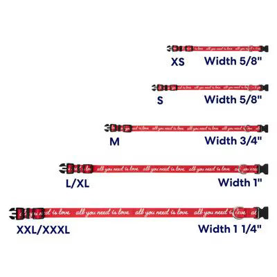 Valentine “All You Need Is Love” Dog Collar – Medium, Adjustable 14–20 Inch Neck