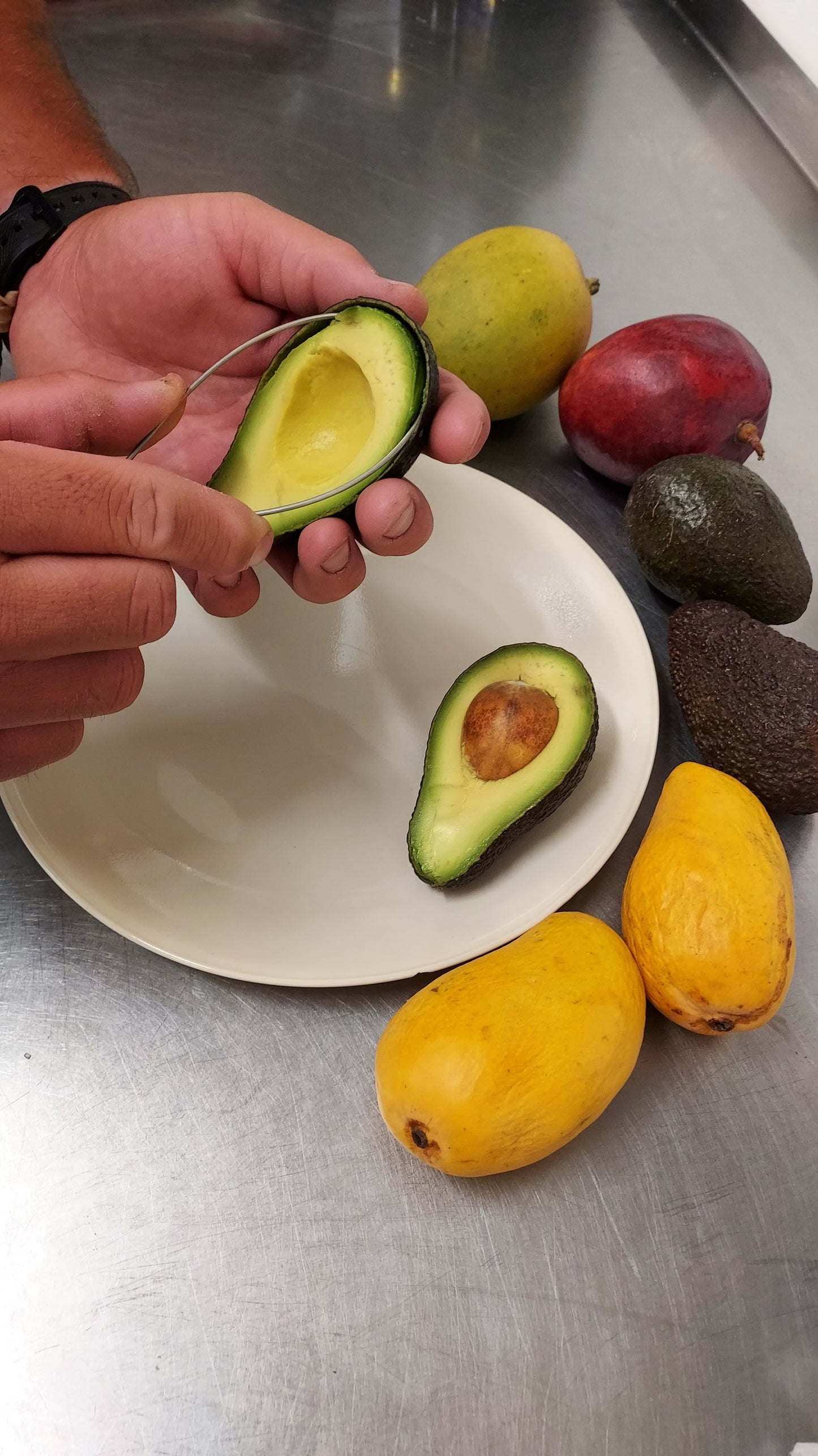 Avocado Peeler with Wooden Handle – Easy Fruit Skin Removal Tool