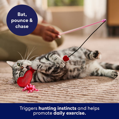 Valentine Hearts Teaser Wand Cat Toy with Silvervine & Catnip