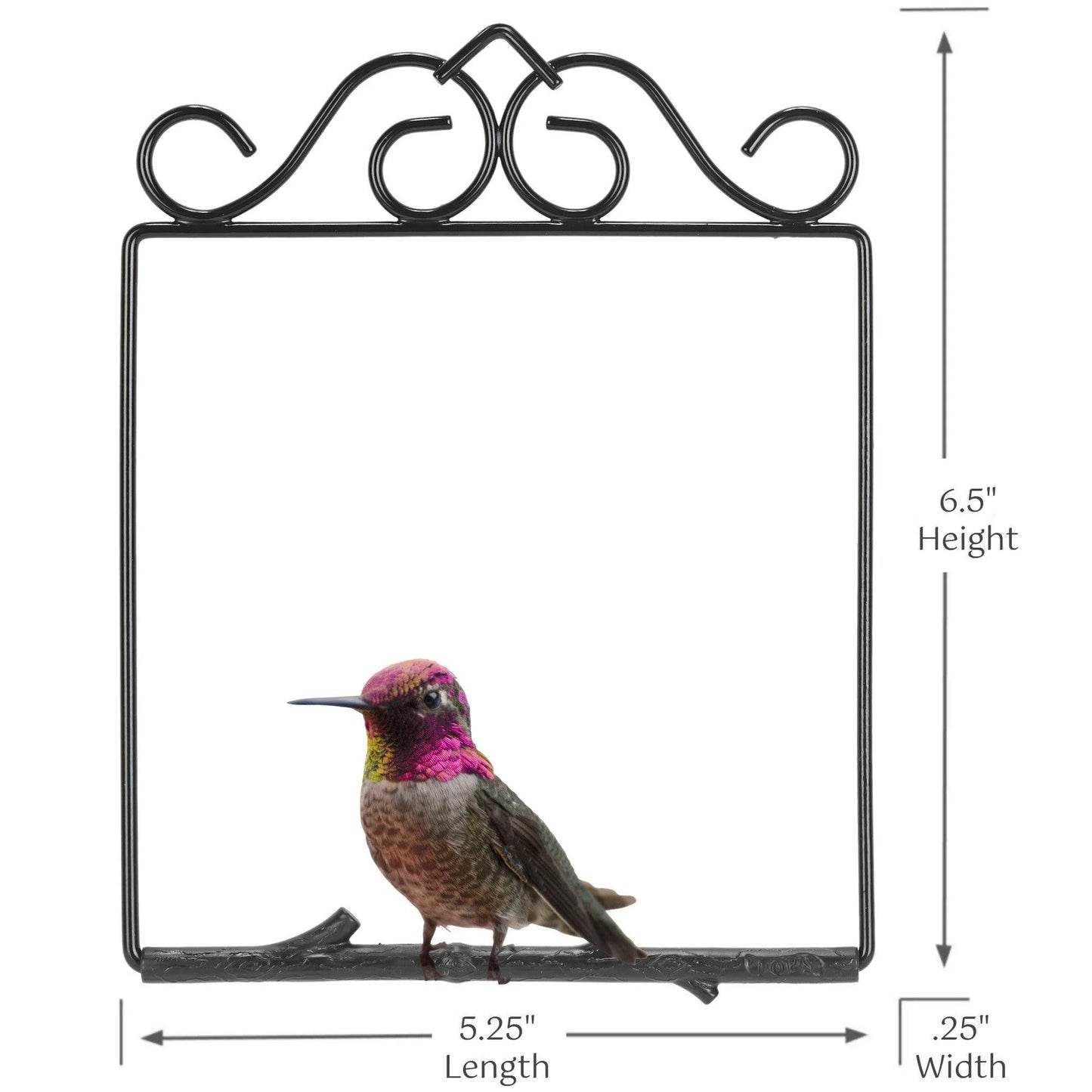 Original Swing Onyx Design | Timeless Style in Deep Black