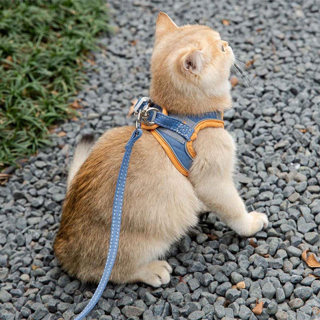 Soft Cat Harness & Leash Set – Mochi-Style Vest Harness for Cats