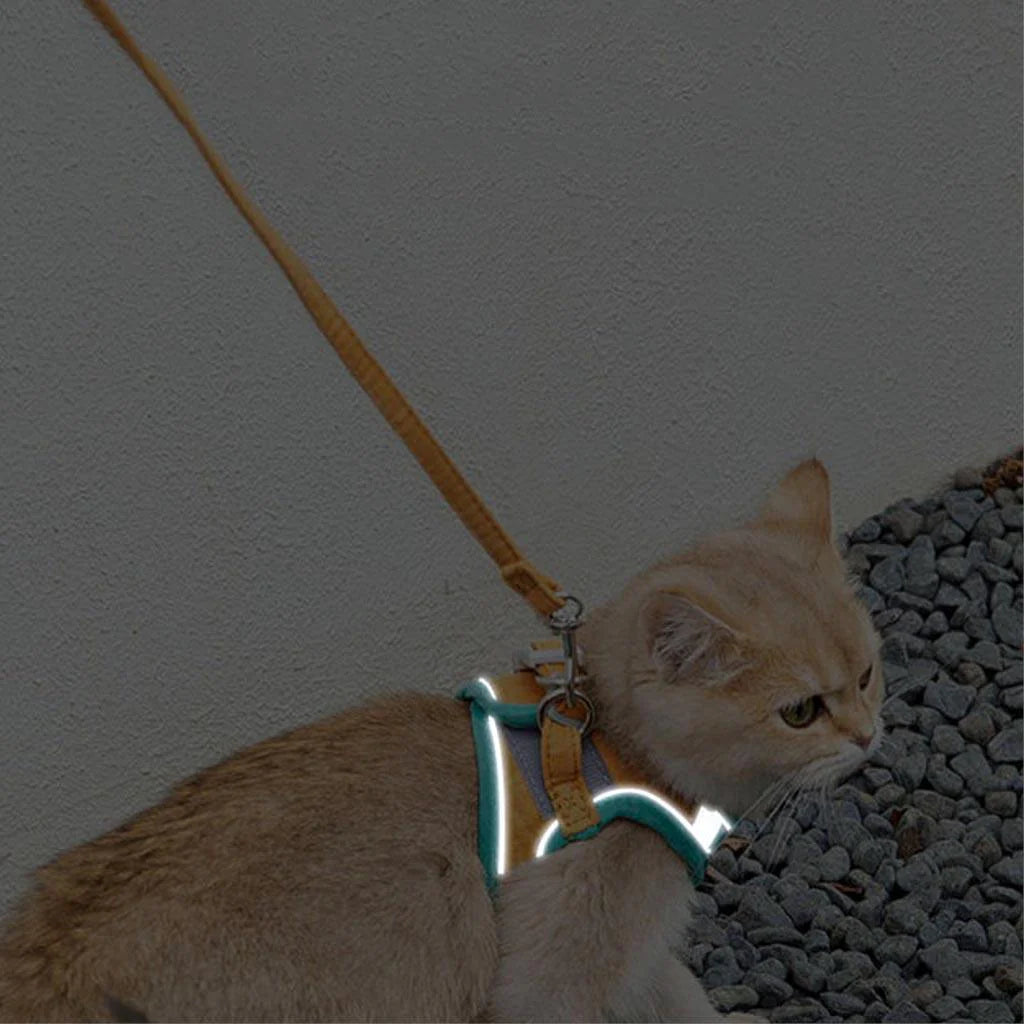 Soft Cat Harness & Leash Set – Mochi-Style Vest Harness for Cats