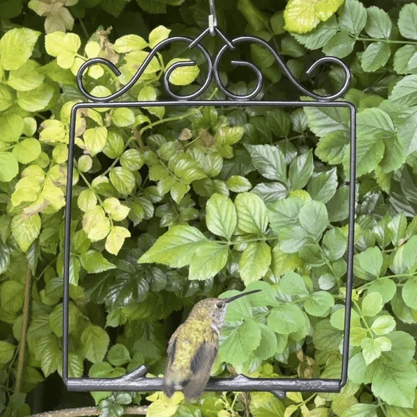 Original Swing Onyx Design | Timeless Style in Deep Black