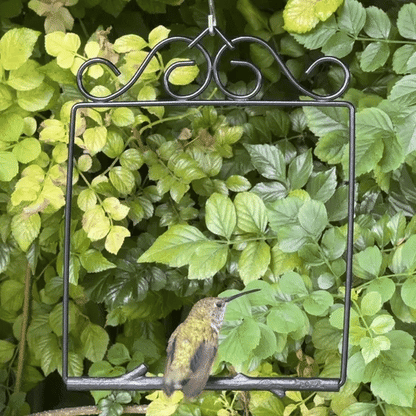 Original Swing Onyx Design | Timeless Style in Deep Black